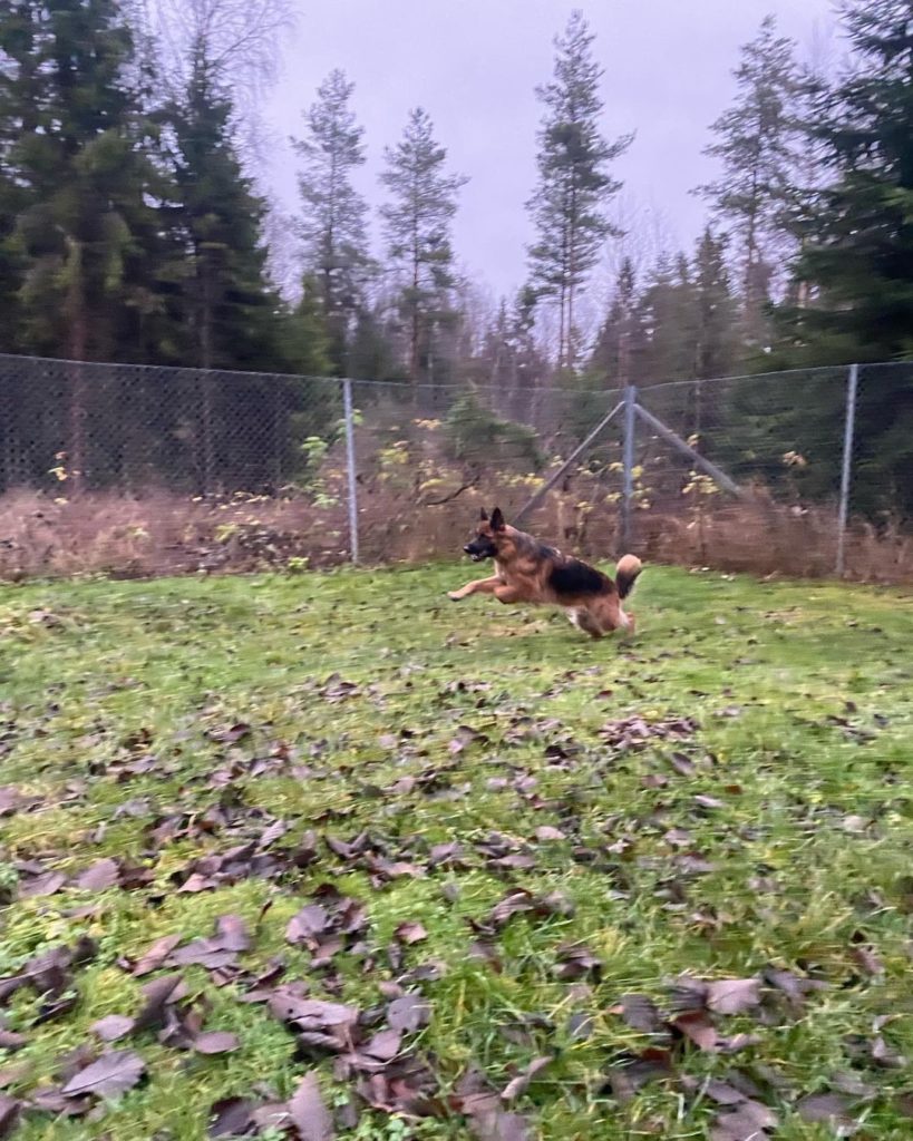 313354741_684166239716831_5268736852135726482_n