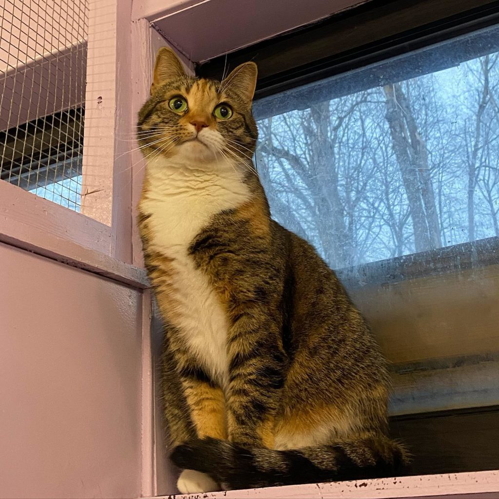 318003999_2379320745555290_1529480573955247442_n