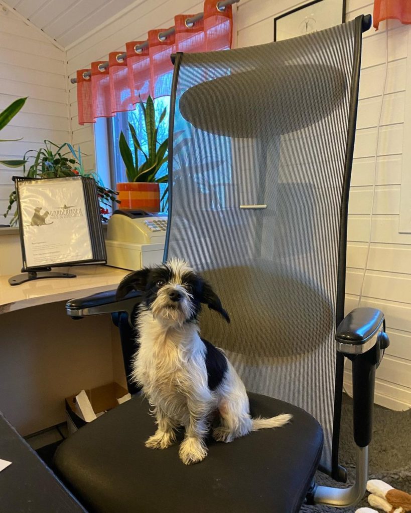 318122269_207392128321742_1384677562095931794_n