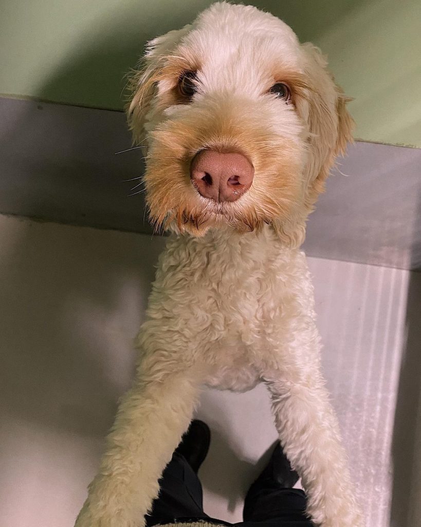 319702723_854136802579077_7637077516651475696_n