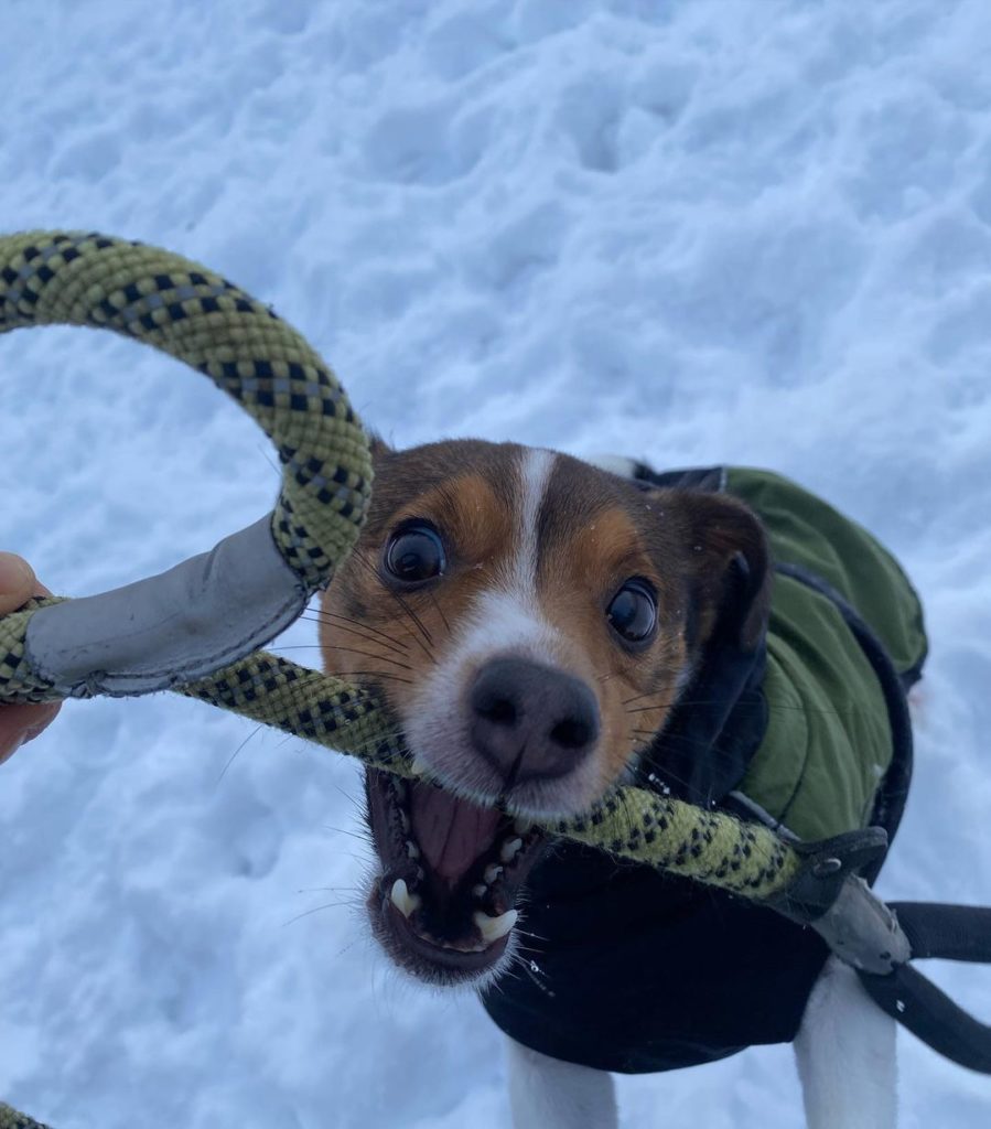 321991239_1217620565499952_2725677578040423249_n